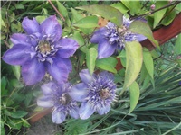 28af3565-Picture 004.jpg